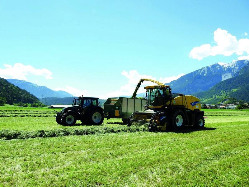 Gelber Feldhäcksler erntet Gras, daneben ein Traktor mit Häckselwagen vor Bündner Bergen